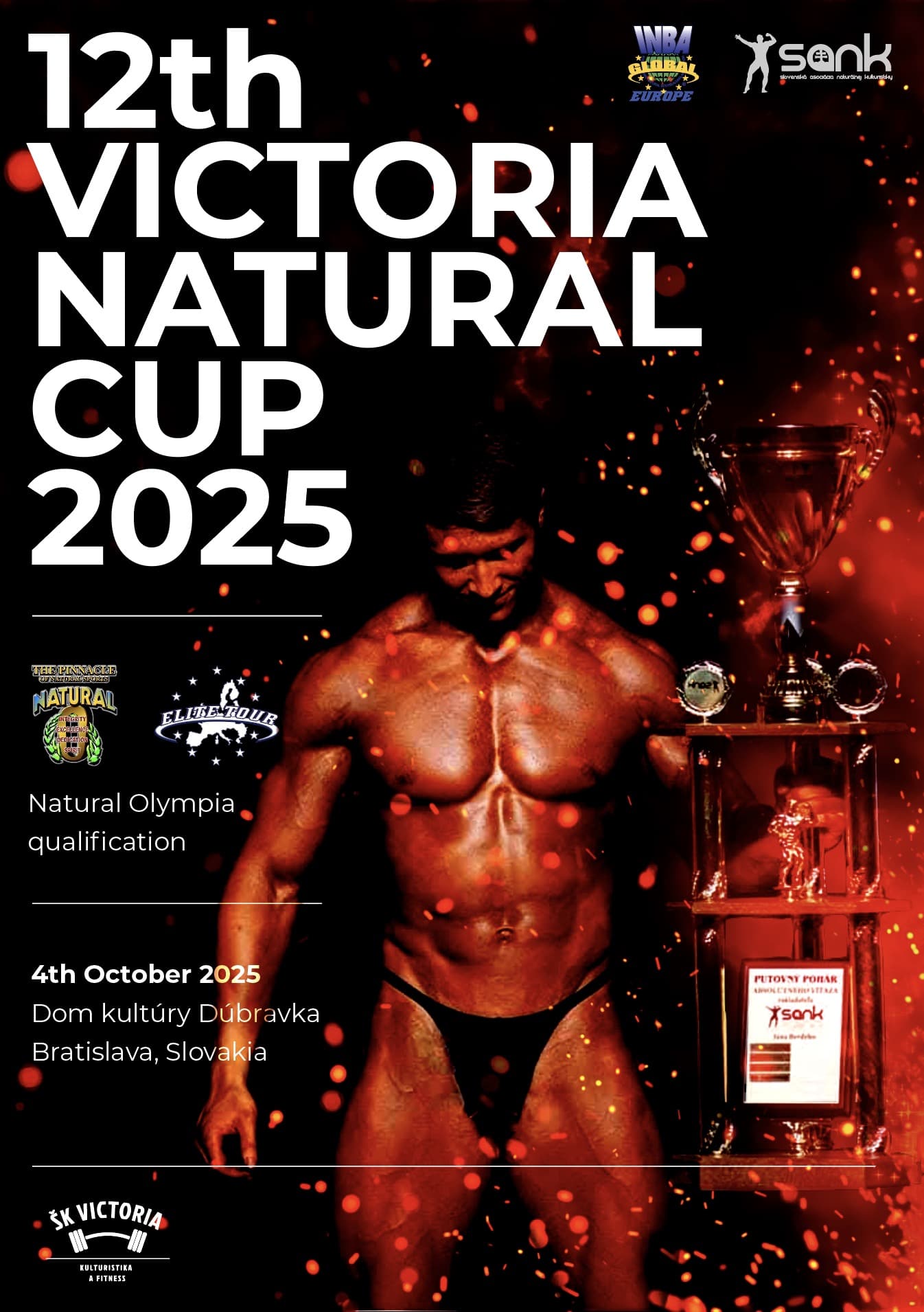 VNC 2025 plagat